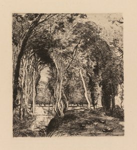 Auguste Lepère: Zarośla w Rigonette Vendèe. autorstwa Auguste Louis Lepère