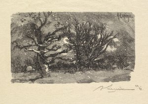 Las Fontainebleau: Au dormoir de Lantara (La Forêt de Fontainebleau: Au dormoir de Lantara) autorstwa Auguste Louis Lepère