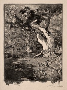 Le Clovis, Plateau de Bellecroix autorstwa Auguste Louis Lepère