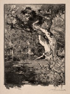 Clovis, Plateau de Bellecroix, 1890. autorstwa Auguste Louis Lepère