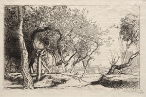 Skręcone drzewo, 1915. autorstwa Auguste Louis Lepère