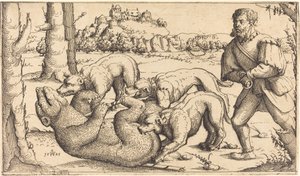 Polowanie na niedźwiedzie, 1545.