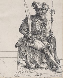 Maksymilian I, z Herberstain, Rerum Muscoviticarum Commentarii, 1546. autorstwa Augustin Hirschvogel