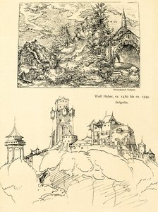 Studium przyrodnicze autorstwa Augustin Hirschvogel
