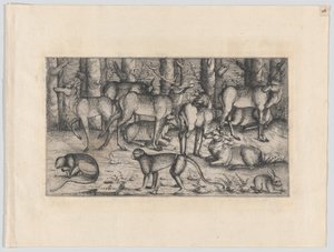 Jelenie w lesie, 1545. autorstwa Augustin Hirschvogel