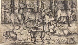 Jelenie w lesie, 1545. autorstwa Augustin Hirschvogel