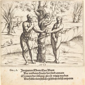 Upadek człowieka autorstwa Augustin Hirschvogel