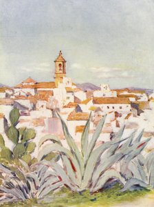 Algeciras (druk kolorowy)