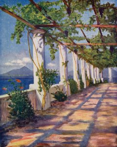 Pergola (kolorowa litografia)