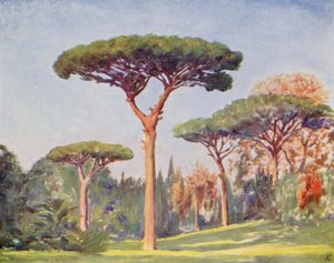 Rock Pines, Villa Floridiana (kolorowa litografia) autorstwa Augustine Fitzgerald
