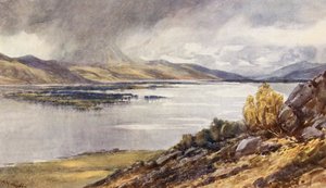 Loch Maree (kolorowa litografia) autorstwa Augustus Watford Weedon