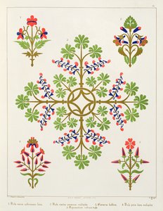 Projekt tapety z motywem róż, wydrukowany przez M. und N. Hanhart autorstwa Augustus Welby Northmore Pugin