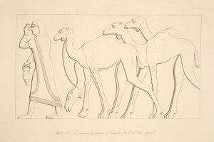 Więzień i wielbłąd, ilustracja z Monuments of Niniveh, 1849 autorstwa Austen Henry Layard