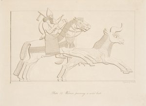Wojownik ściga dzikiego byka, z Monuments of Niniveh, wyd. 1849 autorstwa Austen Henry Layard