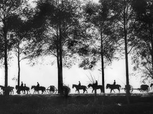 Widok sylwetki australijskich artylerii, załadowanych amunicją, poruszających się wzdłuż Ypres Road, 25 września 1917 autorstwa Australian Photographer