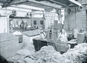 Interior of a Hat Mill, Victoria, ok. 1900, z książki „Pod Krzyżem Południa – Przebłyski Australii”, opublikowanej w 1908 r. autorstwa Australian Photographer