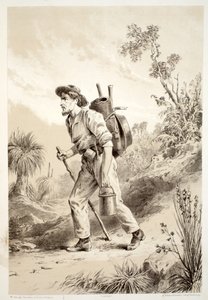 Digger on the Tramp, z Historii Australazji Davida Blaira, McGrady, Thomson i Niven, 1879