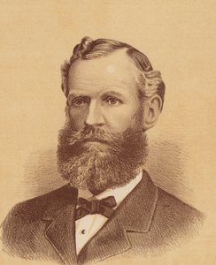 Czcigodny George Henry Cox (kolorowa litografia) autorstwa Australian School