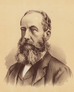 Czcigodny Stephen C. Brown, Esquire (kolorowa litografia) autorstwa Australian School