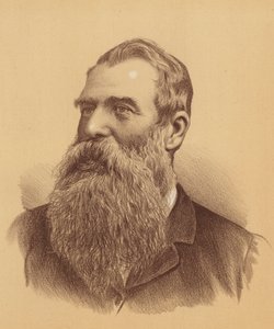 William Henry Paling, Esquire (kolorowa litografia) autorstwa Australian School