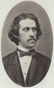 Portret Josefa Straussa