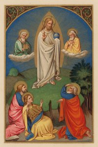 Przemienienie D N J Chr (chromolitho) autorstwa Austrian School