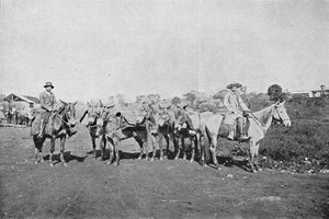 Handlarze wnętrza, Handlarze wnętrza, 1895
