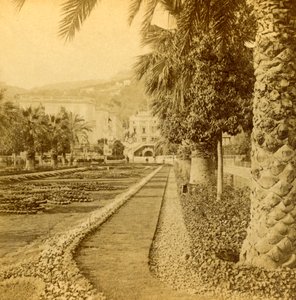 Monte Carlo, patrząc z kasyna, 1897.