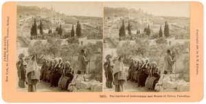 Ogród Getsemani i Góra Oliwna, Palestyna, 1898.