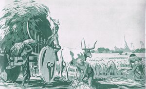 Pole ryżowe w Birmie, z plakatów szkolnych MacMillana, ok. 1950-60 (lito) autorstwa Ba Nyan