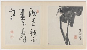 Strony z albumu z kwiatami, ptakami, owadami i rybami, dynastia Qing, 1688-89 (tusz na papierze)