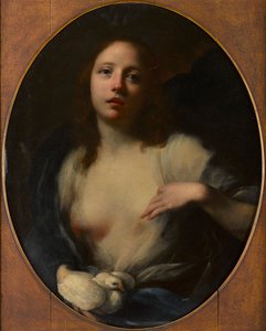 Obraz młodej dziewczyny z białą gołębicą (olej na płótnie) autorstwa Baldassare (1611 89) Franceschini