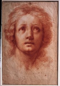 Studium kobiecej głowy, nieruchome spojrzenie zwraca się w górę Rysowanie tuszem i farbą Franceschini Baldassare dit il Volterrano (1611-1689). XVII wiek. Ciemny. 0,42x0,28m. Paryż, Luwr autorstwa Baldassare  Franceschini