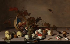 Martwa natura owocowa z wiklinowym koszem, małżami i motylem, pierwsza połowa XVII wieku. autorstwa Balthasar van der Ast