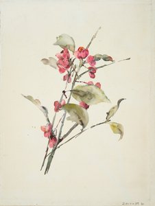 Różowe kwiaty (akwarela na papierze) autorstwa Barbara Leigh Smith Bodichon