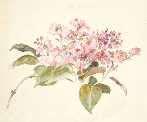 polish autorstwa Barbara Leigh Smith Bodichon