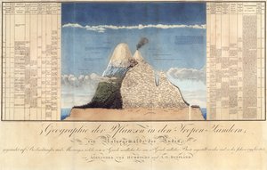 Geografia roślin w krajach tropikalnych, Studium Andów, rys. Schoenberger und Turpin, druk Langlois, Paryż