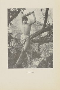 Oczekiwanie autorstwa Baron Wilhelm von Gloeden