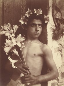 [Chłopiec z liliami] autorstwa Baron Wilhelm von Gloeden