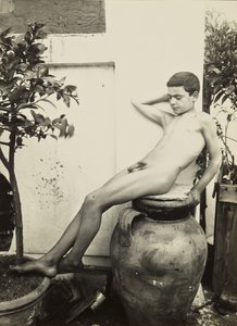 [Nagi młodzieniec w ogrodzie] autorstwa Baron Wilhelm von Gloeden