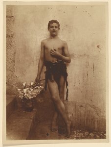 [Młodzież z liliami] autorstwa Baron Wilhelm von Gloeden