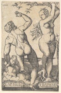 Odwrotna kopia Apollo i Daphne.n.d.