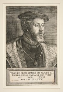  autorstwa Barthel Beham