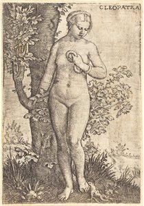 Kleopatra autorstwa Barthel Beham