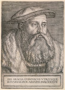  autorstwa Barthel Beham