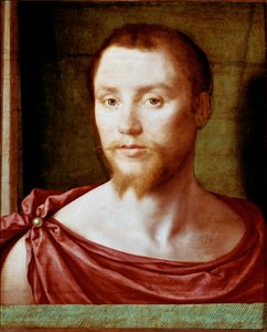 Portret mężczyzny o antycznej twarzy Rudego z podwójnie szpiczastą brodą (lub kozą), okryty przepaską biodrową. Malarstwo na drewnie przypisywane Pseudo Felixowi Chretienowi (ok. 1510-1579). ok. 1535-1550 Wym. 48x39 cm Paryż, musee du Louvre - Portret matk autorstwa Bartholomeus (active 1518 1541) Pons