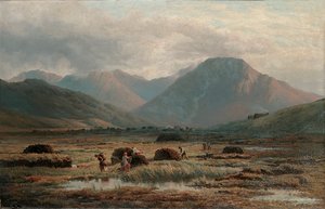 Torfowisko, Płatek Listowy, Connemara autorstwa Bartholomew Colles Watkins