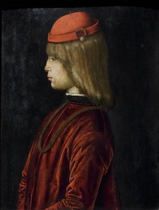 Portret Guidubaldo da Montefeltro, ok. 1480-81 (olej na płycie) autorstwa Bartolomeo (attr. to) Della Gatta