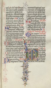 Mszał: Fl. 260: Liście z owocami, 1469.