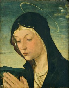 Głowa i ręce adorującej Madonny (fragment), ok. 1477-78 (tempera na drewnie topoli) autorstwa Bartolomeo Montagna